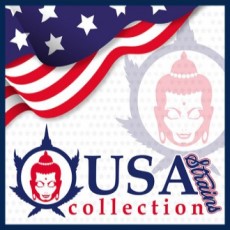 BUDDHA SEEDS USA COLLECTION STRAINS
