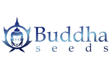 BUDDHA SEEDS