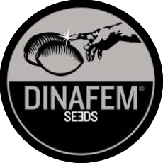 DINAFEM SEEDS