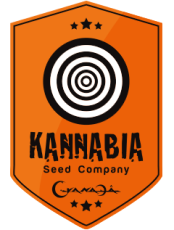 KANNABIA SEED