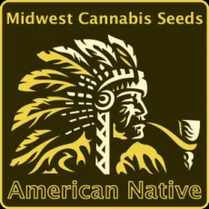 MIDWEST CANNABIS SEEDS
