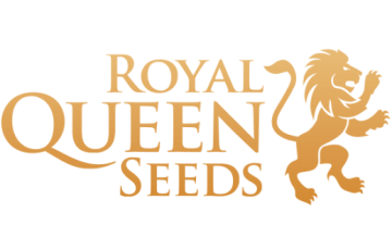 ROYAL QUEEN SEEDS