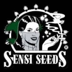 SENSI SEEDS