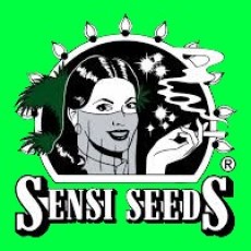 SENSI SEEDS