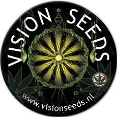 VISION SEEDS